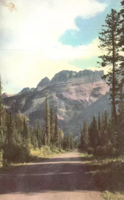 Postcard MT Glacier National Park Going to the Sun Highway Garden Wall PC H3437