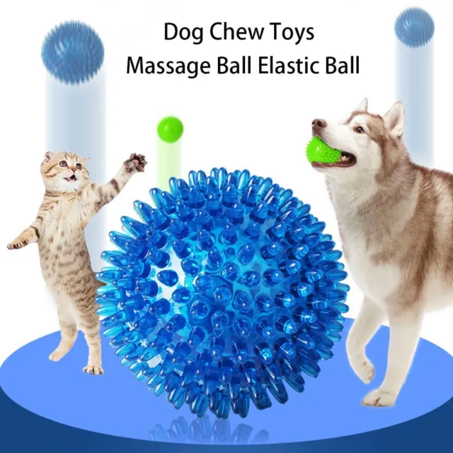 Accessori per animali domestici TPR cane da masticare giocattoli palla pulizia denti cucciolo giocattolo cigolante