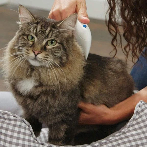 Pet Supplies Electric Brush Removal Lice Comb Head Cleaner Anti Fleas Terminator 3
