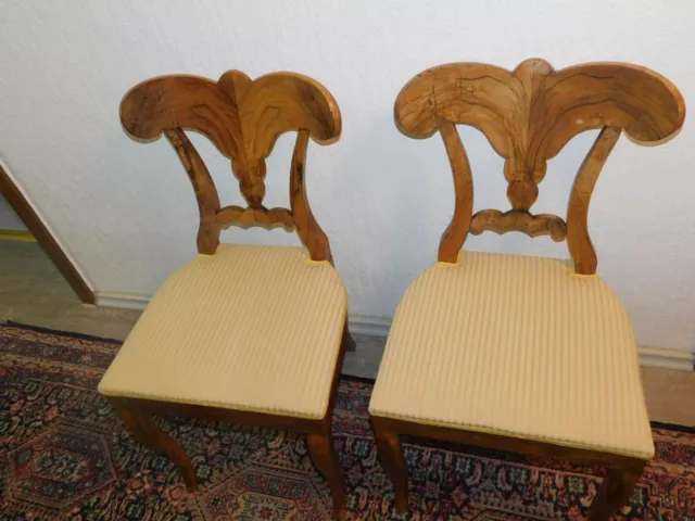 2 Stück Biedermeier  Stühle mit toller Rücklehne in Form einer Muschel!