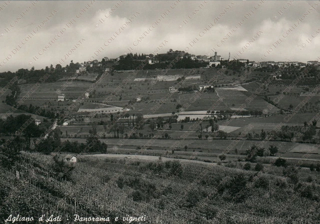 1950 AGLIANO D’ASTI Panorama e vigneti Cartolina
