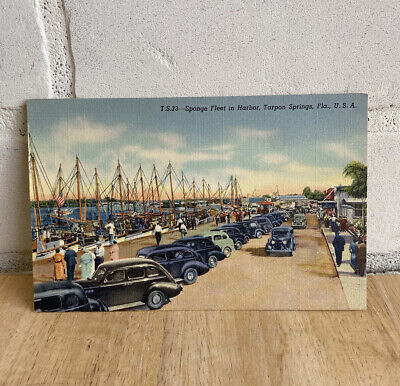Vintage post card, Sponge Fleet in Harbor, Tarpon Springs, Florida, FL