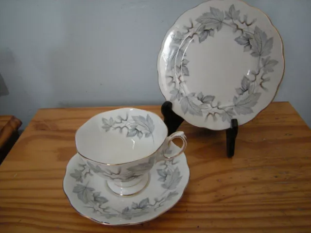 Royal Albert Bone China "Silver Maple Trio ( Cup,Saucer & Tea Plate)