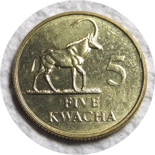 elf Zambia 5 Kwacha 1992  Oryx
