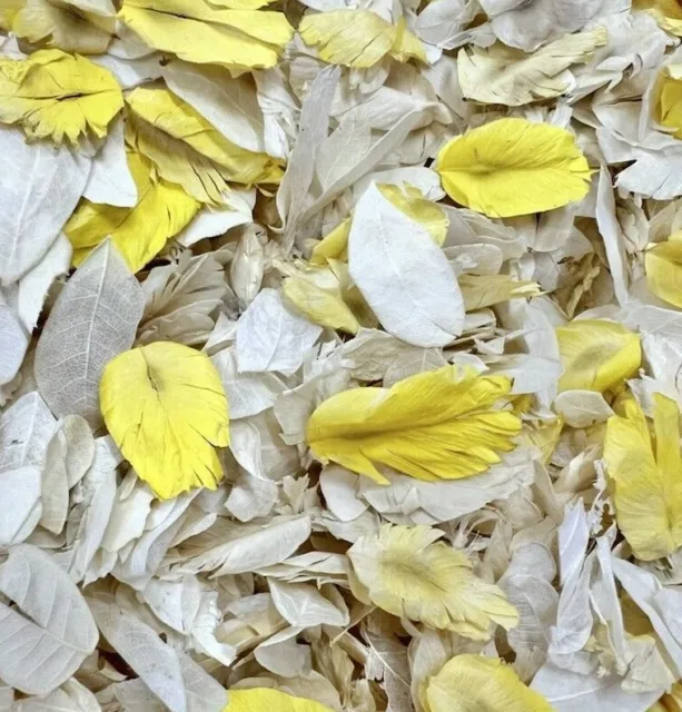 Yellow & Ivory Petals, Dried & Biodegradable Wedding Confetti. Vintage Flower 🌷