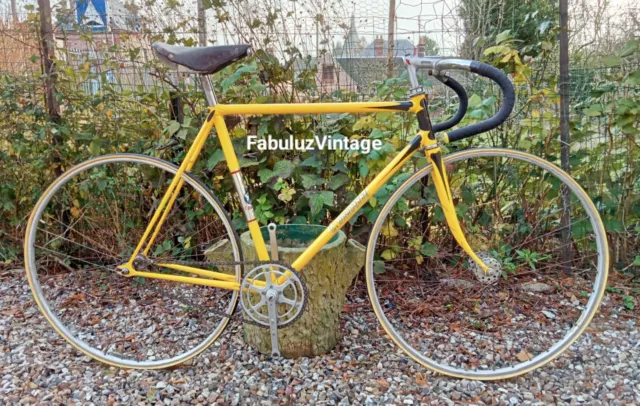 Velo collection on sale