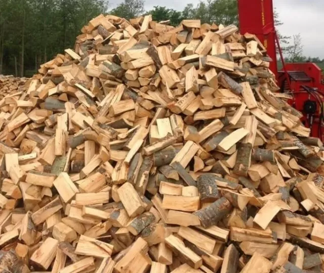 LEGNA PER STUFA FORNO 25 centimetri QUERCIA E FAGGIO PIZZA B&B BRACE bar