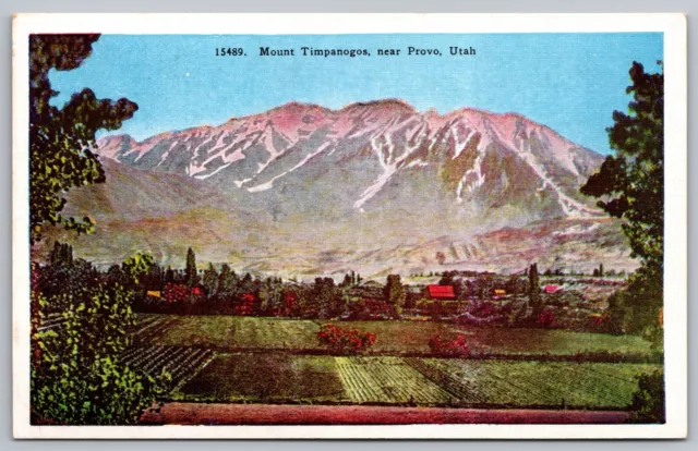 Mount Timpanogos Provo Utah Wasatch Mountain Range Farmland Vintage UNP Postcard