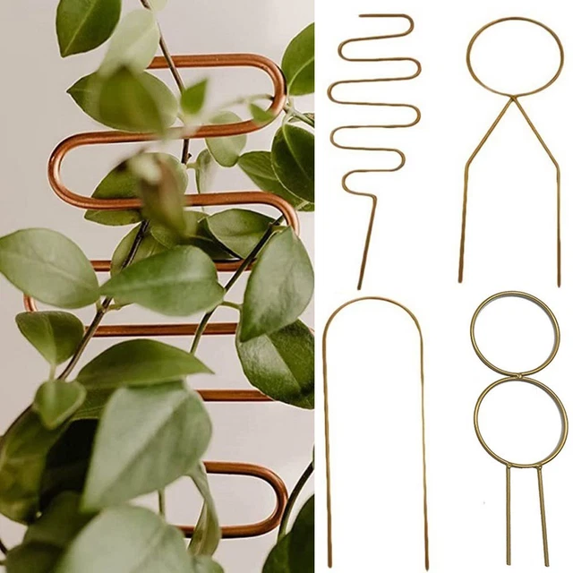 pieu Cadre d'escalade Support pour plantes Tige de fixation Support d'escalade