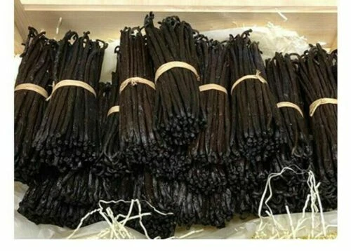 VANILLA BEANS  GRADE B EXTRACT 20 BEANS ORGANIC ( 10cm + )