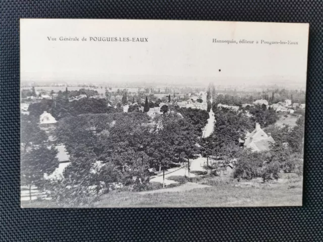CPA 58 Vue Générale de POUGUES-LES-EAUX