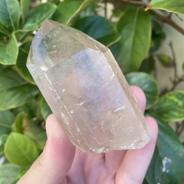 Large Lemurian Smoky Quartz Point -  Natural Crystal - 175 GRAMS (#2673)