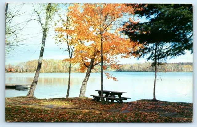 POSTCARD Fortune Lake Between Crystal Falls Iron River Michigan Upper Peninsula