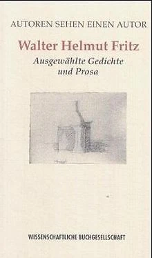 Walter Helmut Fritz von Walter H. Fritz | Buch | Zustand sehr gut