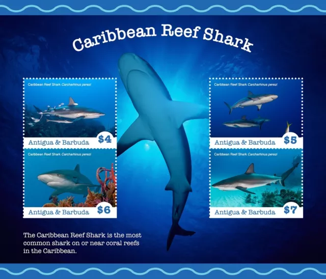 CARIBBEAN REEF SHARKS Sea & Marine Life MNH Stamp Sheet (2020 Antigua & Barbuda)