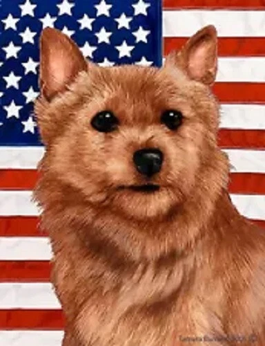 Patriotic (D2) Garden Flag - Red Norwich Terrier