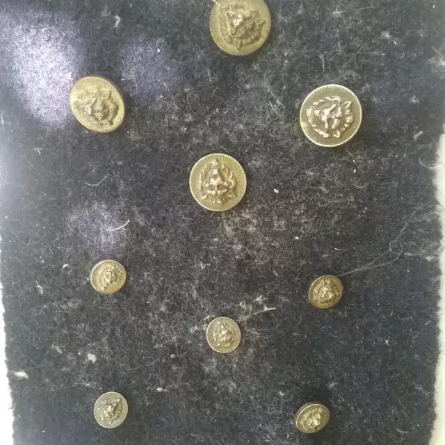 RARES ! série de boutons ancien en métal avec têtes de lion blason encre marine