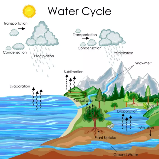 Water Cycle science educational Science wall art Beautiful poster Choose Size