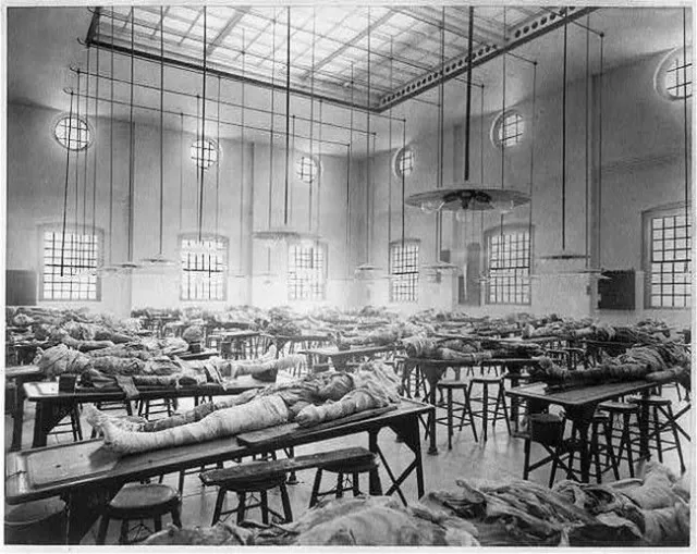 Antique Medical Autopsy Photo 340b Oddleys Strange & Bizarre