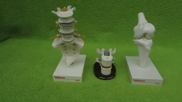 Konvolut Modelle Knochen Voltaren Geigy Spondulon Kunststoff