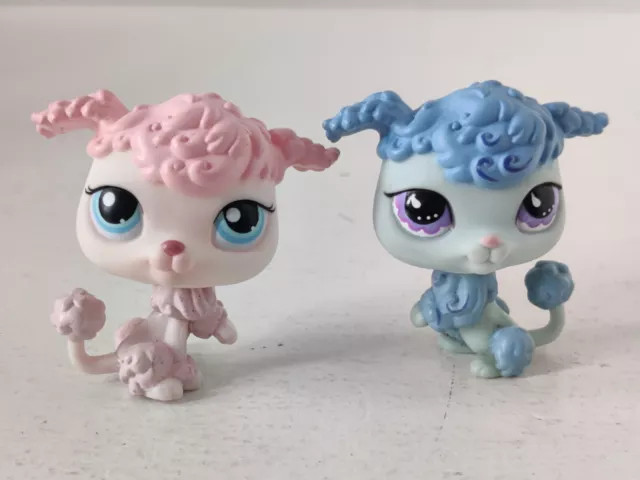 Hasbro 2004 LPS Littlest Pet Shop Blue And Pink Poodle #591 #48 Free Shipping
