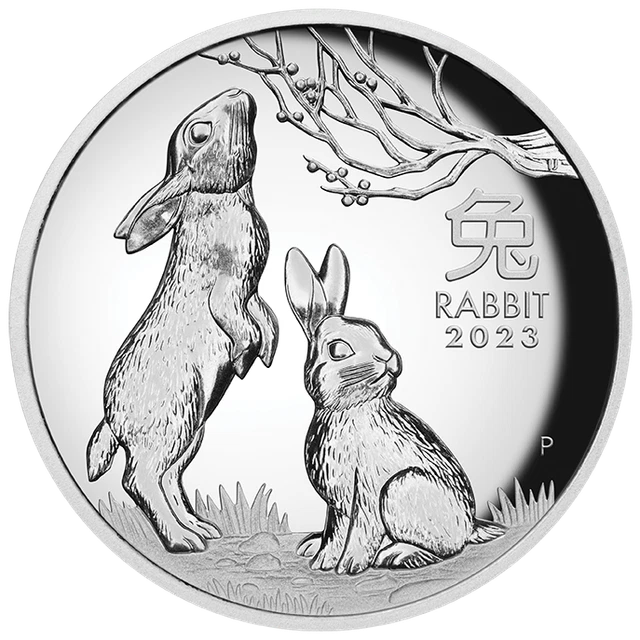 2023 YEAR OF the Rabbit 1oz Silver Proof High Relief Coin - Lunar ...