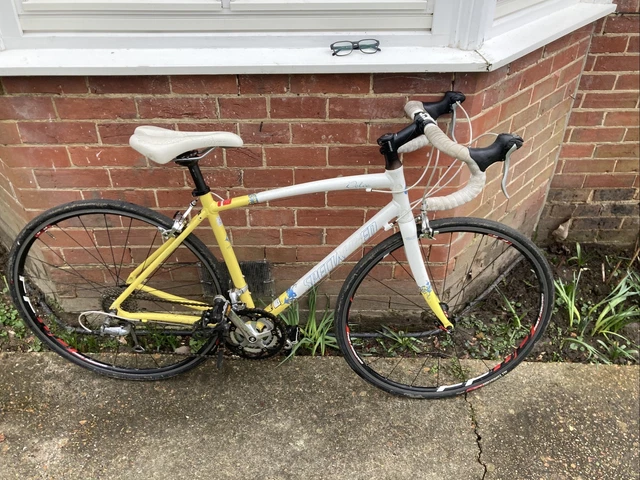 54cm frame height 2025