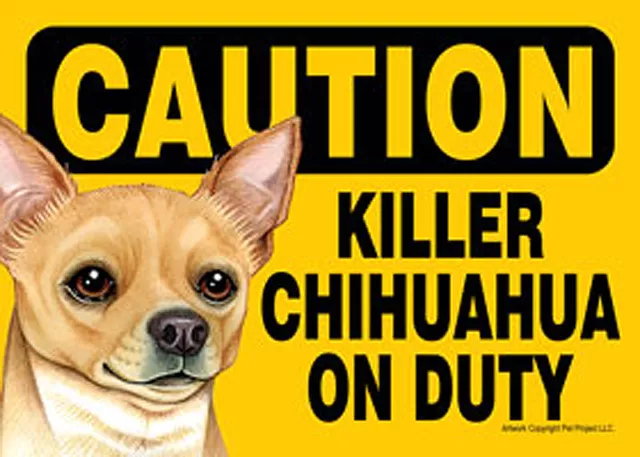 Asesino Chihuahua Encendido Deber Perro Signo Imán Insignia Cierre 5x7