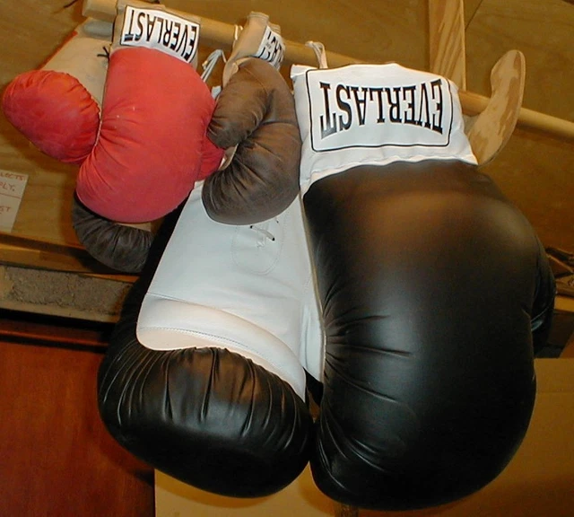 GIANT BOXING GLOVES £99.00 PicClick UK