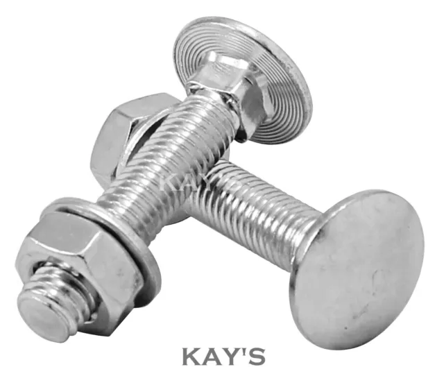 M6 Carriage Bolts Cup Square Coach Screws With Nuts & Washers A2 Stainless Steel