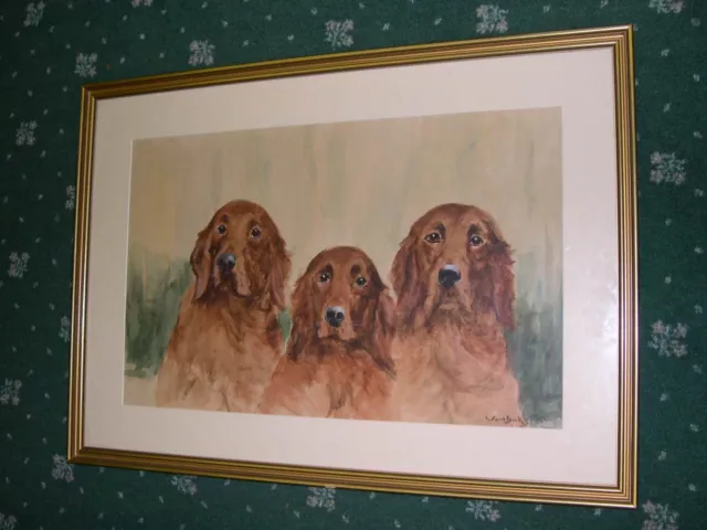 Very Large Antique Irish Setter Watercolour Named Dog Painting 1930 Ward Binks