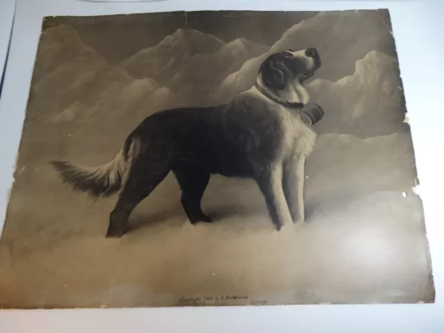 Early 1900s Print of Charcoal Drawing of St. Bernard in the Swiss Alps W Brandy