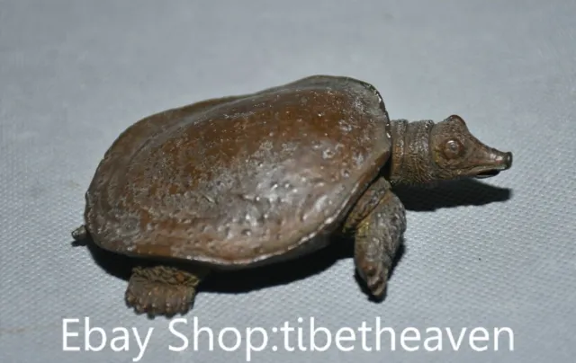 3.6" Rare Old China Red Copper Feng Shui Soft-shelled Turtle Lucky Statue