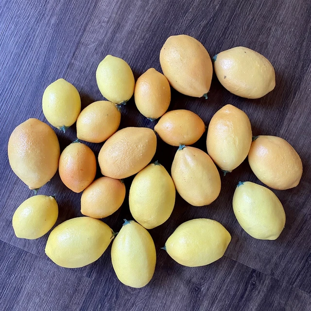 21 ARTIFICIAL REALISTIC Lemons Home Staging Prop Lifesize Fake Fruit