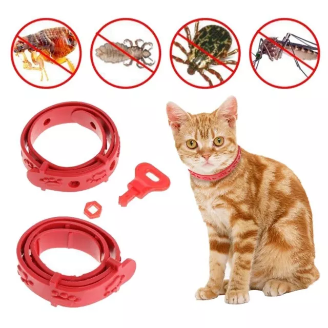 3x Katze Ungeziefer Band Flohhalsband Zeckenhalsband Halsband gegen Flöhe Zecken