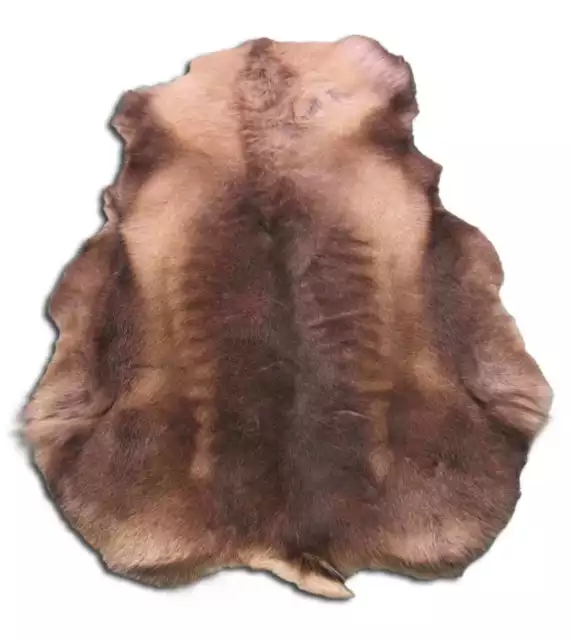 Reindeer Skin from Scandinavia Size: 46" X 43" Reindeer Skin N-171 Ships from US