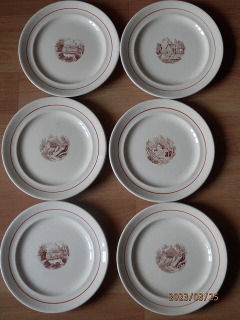 6 Assiettes  SARREGUEMINES decor a identifier