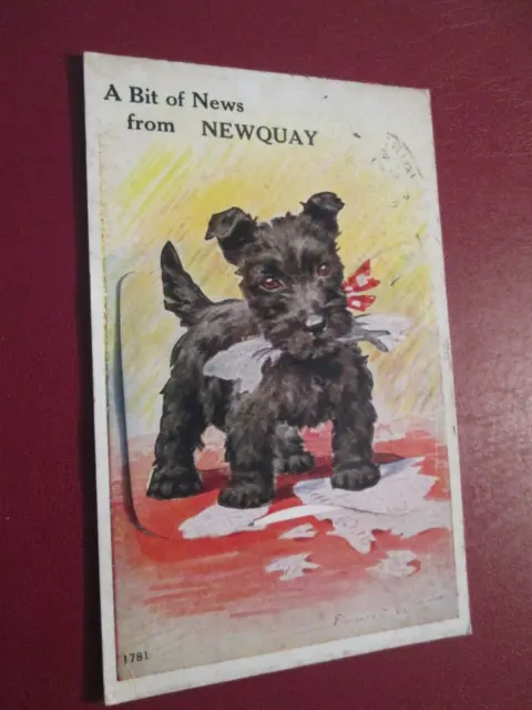 Folding Postcard of NEWQUAY ... A bit of News from (Posted Valentine's Novelty)