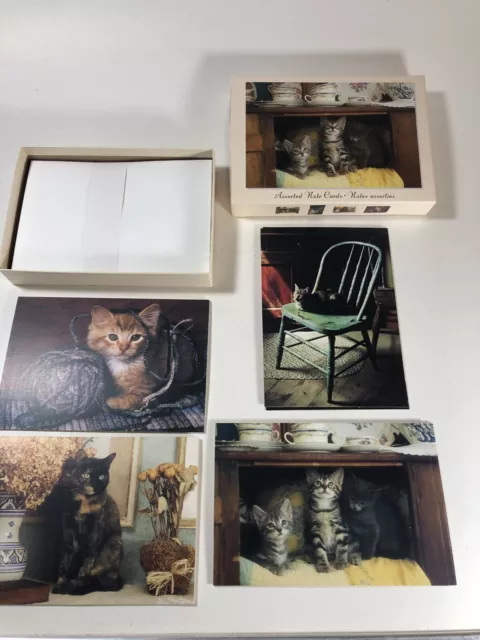 Vintage Hallmark  12 Note Cards & Envelope Assorted Cats Blank Inside New in Box