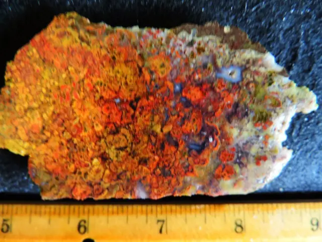 1.6 Ounce, 3.25"X1.75"X1/4" Slab Of "Rare" Bloody Basin Plume Agate From Arizona