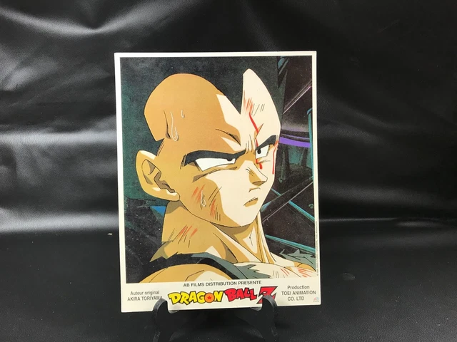 Affiche Dragon Ball Z 45x30cm – Majin Buu Toriyama – Papier Brillant épais