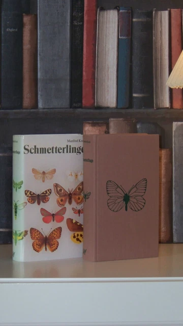 WIR BESTIMMEN SCHMETTERLINGE +++ Schmetterlinge erkennen und bestimmen