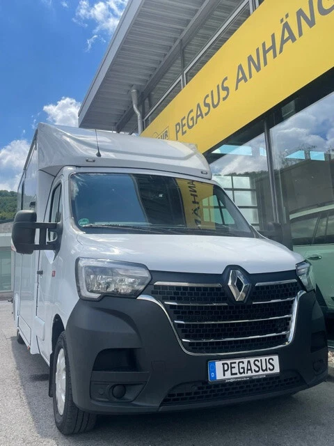 Renault Master 2-Pferdetransporter