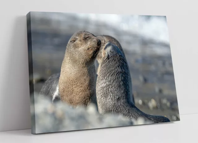 Cute Sea Lions On Beach Home Bedroom Decor Canvas Wall Artwork Picture Print