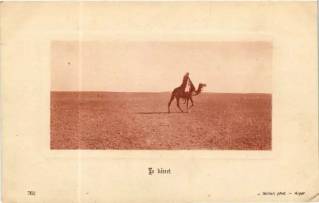 CPA AK Geiser 762 Le Désert ALGERIA (705628)