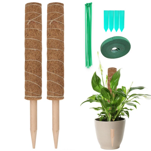 Pflanzstab Kokos Verlängerung Monstera Ø 4.8cm Rankhilfe Rankstab 2er Set