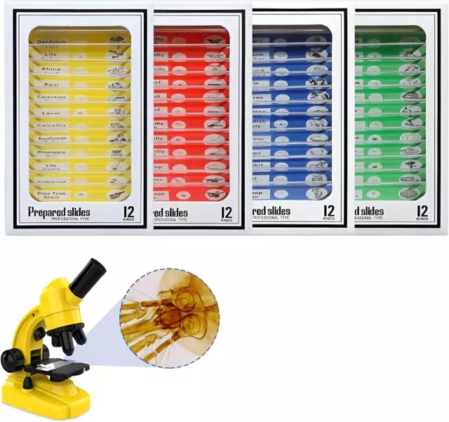 Ninyoon 48Pcs Microscope Slides with Specimens for Kids – Kids Prepared Microsco