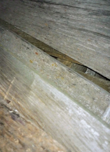 50 Sq. Feet, Reclaimed Rustic Fence Boards  Weathered Barn Wood Style Aged. 3