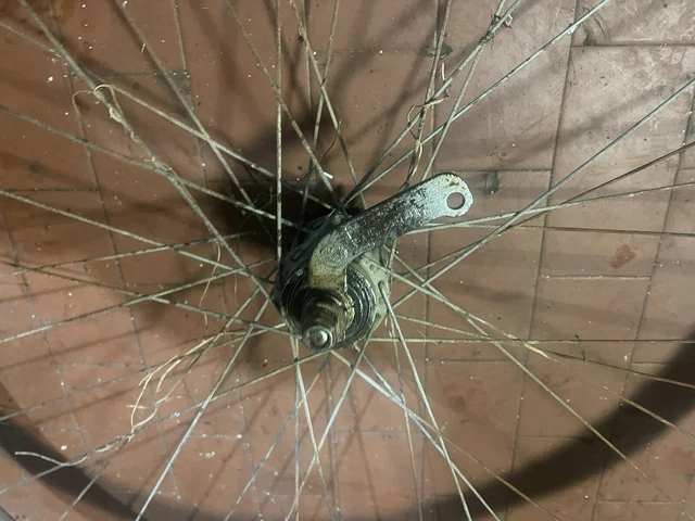 Ruota Posteriore Bici Bambini 16 Pollici In Alluminio - Cerchio 16x1.75 Per Bimbi - Completa Di Dadi