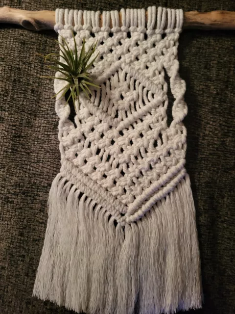 Macrame Air Plant/wall Hanging